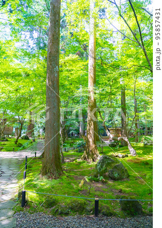 松島の円通院　三慧殿禅林　瞑想の庭（宮城県松島町） 95857431
