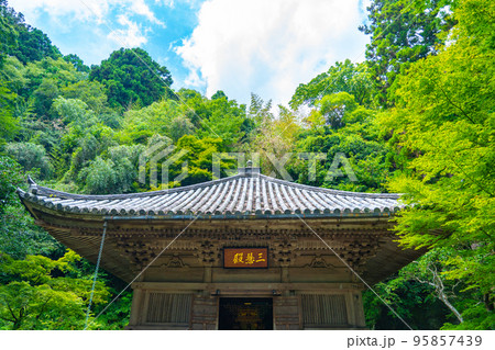 松島の円通院　三慧殿禅林　瞑想の庭（宮城県松島町） 95857439