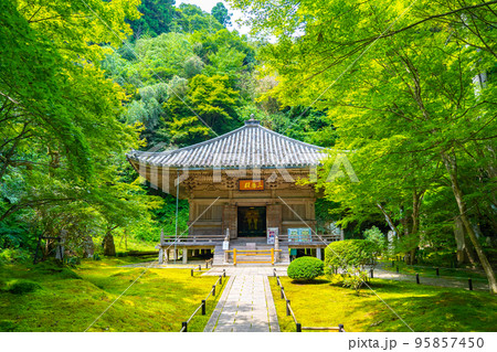 松島の円通院　三慧殿禅林　瞑想の庭（宮城県松島町） 95857450