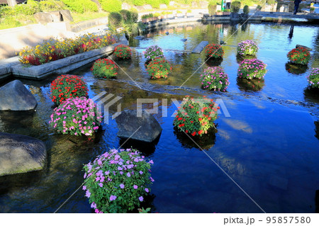 河川環境楽園散策・54（木曽三川公園：岐阜県各務ヶ原市） 95857580