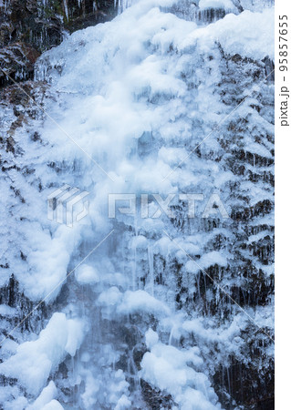 払沢の滝の氷柱 払沢の滝の氷柱 95857655