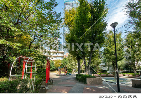 東京都港区立の狸穴公園 東京都港区立の狸穴公園 95858096