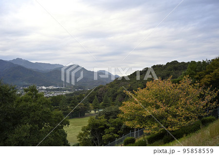 総合運動公園・展望台からの風景 【神奈川県 伊勢原市】 95858559