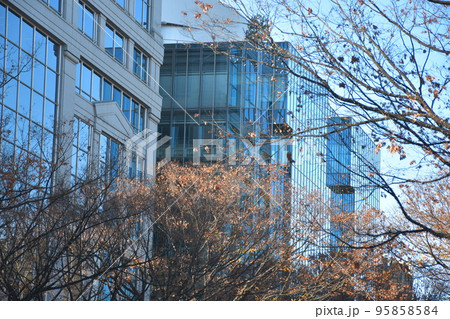 秋の風景 秋の風景 95858584