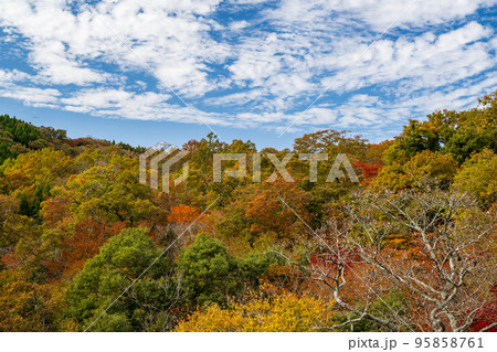 秋の頃の紅葉が美しい風景 95858761