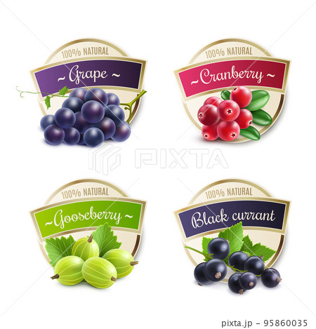 Organic Berries Labels Collection Organic Berries Labels Collection 95860035
