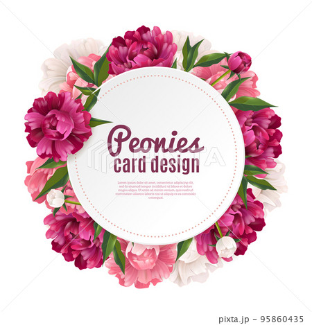 Peony Frame Card Design Peony Frame Card Design 95860435