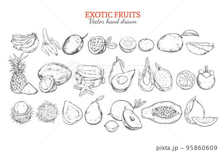 Monochrome Exotic And Tropical Fruits Collection 95860609