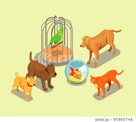 Pet Shop Isometric Background 95860748