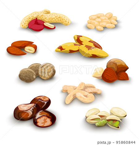 Nuts Decorative Set Nuts Decorative Set 95860844