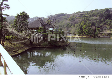 日本庭園の池と四阿【三渓園】神奈川県横浜市 日本庭園の池と四阿【三渓園】神奈川県横浜市 95861381