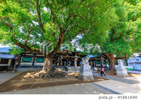 東京　新宿区にある穴八幡宮　狛犬と拝殿 95861690