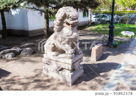 Lion sculpture statue with ball in his mouth and with ball under right paw in Chinese park. Mythical guardian lion. Close-up, side view. Garden of Friendship 95862378