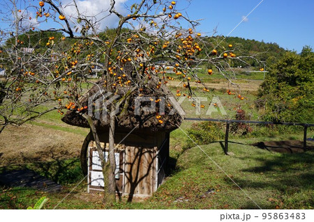津山市内で現役で稼働している共有の米搗き水車としては唯一の水車「桐の木水車」 95863483