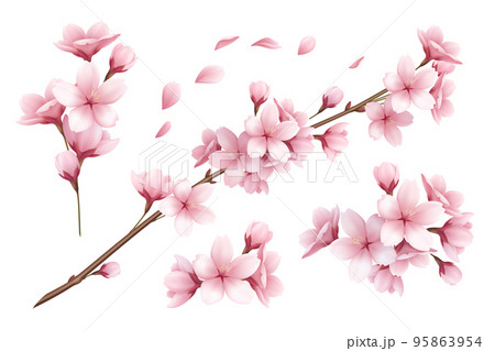 Sakura Realistic Set Sakura Realistic Set 95863954