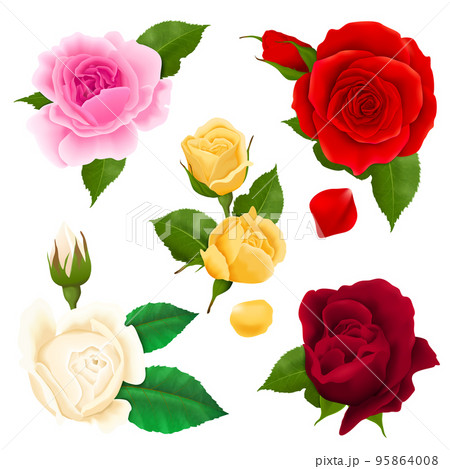 Rose Realistic Set 95864008