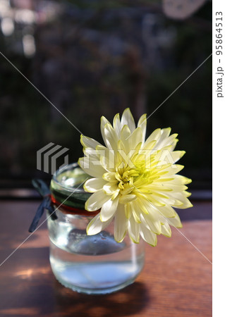 出窓にクリサンセマムの一輪挿しを飾る 95864513