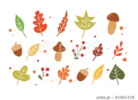 Fall leaves set. Vector Autumn Thanksgiving elements on white background. Fall leaves set. Vector Autumn Thanksgiving elements on white background. 95865338
