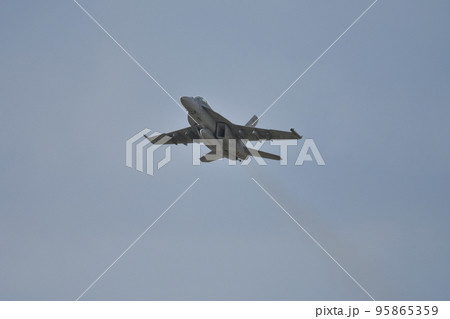 F/A-18D戦闘攻撃機 95865359
