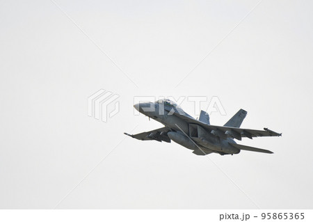 F/A-18D戦闘攻撃機 95865365