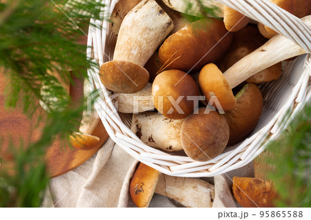 White wicker basket with boletus mushrooms. Top view 95865588