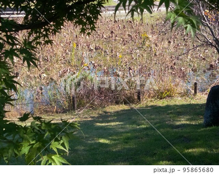 あいち健康プラザ 大府運動公園 あいち健康プラザ 大府運動公園 95865680