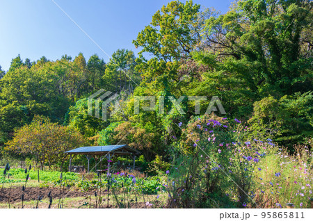 舞岡公園の景観 95865811