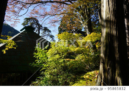 志和稲荷神社 95865832