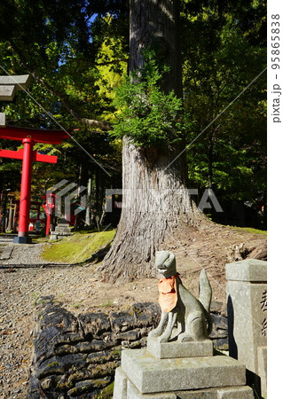 志和稲荷神社 志和稲荷神社 95865838