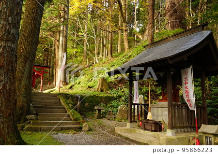 志和稲荷神社の巨木 志和稲荷神社の巨木 95866223