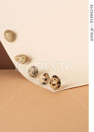 Creative layout with quail eggs on paper pastel background. Creative layout with quail eggs on paper pastel background. 95866248