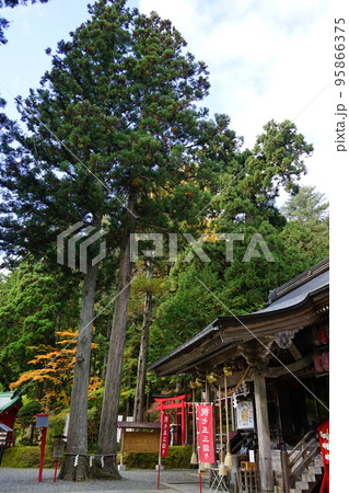 志和稲荷神社 志和稲荷神社 95866375