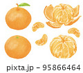 絵本のようなやわらかな色合いのみかん 95866464