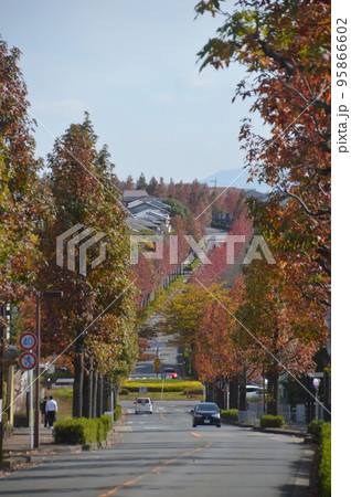 京都・桂坂 95866602