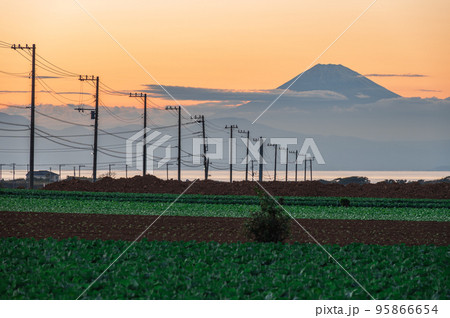 電柱の先にそびえる富士山　夕暮れの初声町 95866654
