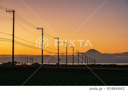 電柱の先にそびえる富士山 夕暮れの初声町 電柱の先にそびえる富士山 夕暮れの初声町 95866662