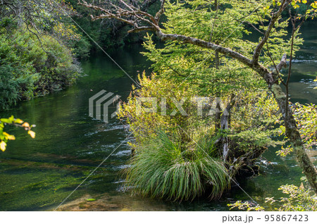 奥日光　戦場ヶ原　散策 95867423