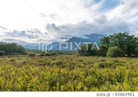奥日光　戦場ヶ原　散策 95867461