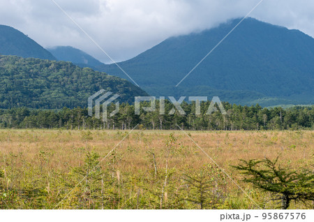 奥日光　戦場ヶ原　散策 95867576