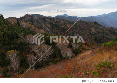 三方岩岳の紅葉 岐阜県 三方岩岳の紅葉 岐阜県 95867683