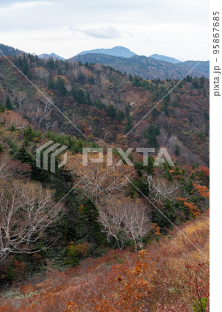 三方岩岳の紅葉 岐阜県 三方岩岳の紅葉 岐阜県 95867685