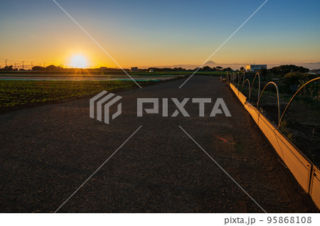 初声町で見る夕日　のどかな原風景 95868108
