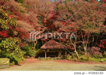 紅葉に包まれた東屋 紅葉に包まれた東屋 95868180