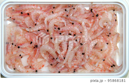 白いプラスチックパックに入った釣り用のオキアミエサ。 白いプラスチックパックに入った釣り用のオキアミエサ。 95868181