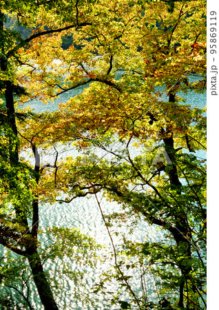 奥多摩湖畔いこいの路からの風景 奥多摩湖畔いこいの路からの風景 95869119