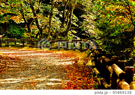 奥多摩湖畔いこいの路からの風景 95869138