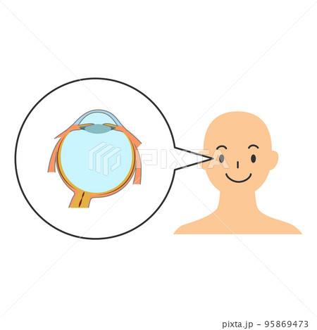 人と右眼球の断面図 人と右眼球の断面図 95869473
