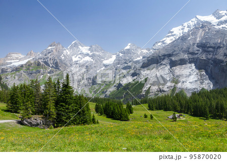 Panoramic view of green alpine meadows and mountains 95870020