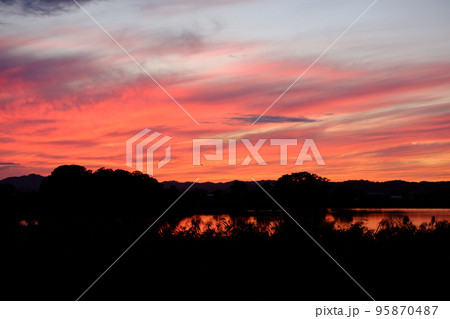 夕日に染まる宮島沼とマガンの群れ 95870487