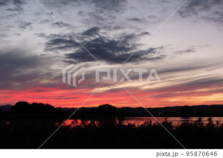 夕日に染まる宮島沼とマガンの群れ 95870646